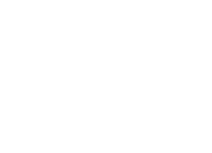 FUN MIRAL FUTURE